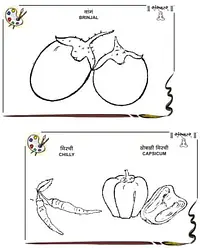 Drawing Books - Master