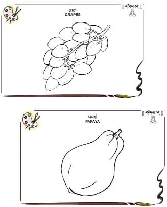 Drawing Books - Master