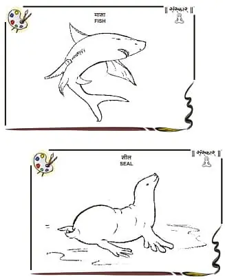 Drawing Books - Master