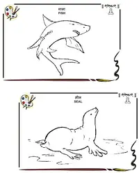 Drawing Books - Master