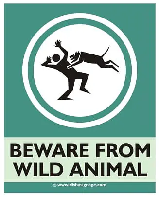 Beware from wild Animal - Master
