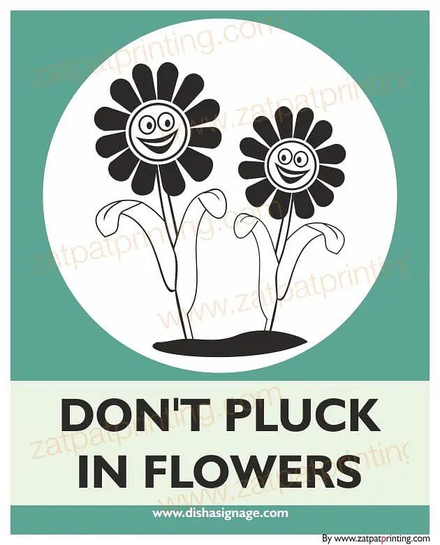Don't Pluck in Flower - Master