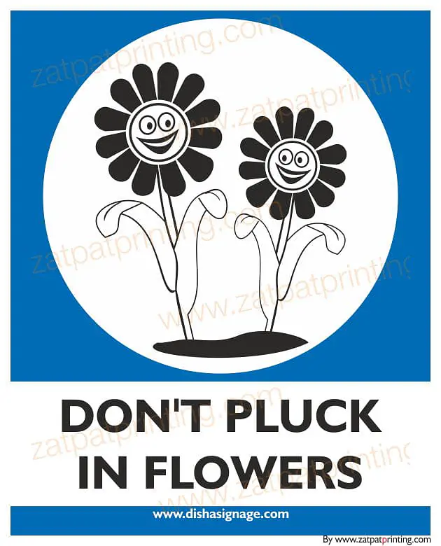 Don't Plug in Flower - Master