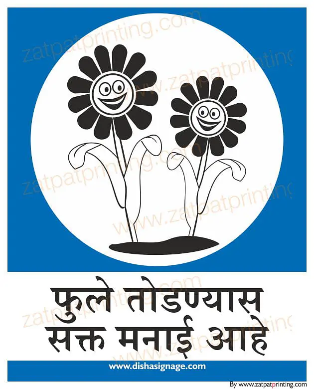 Don't Plug in Flower - Master