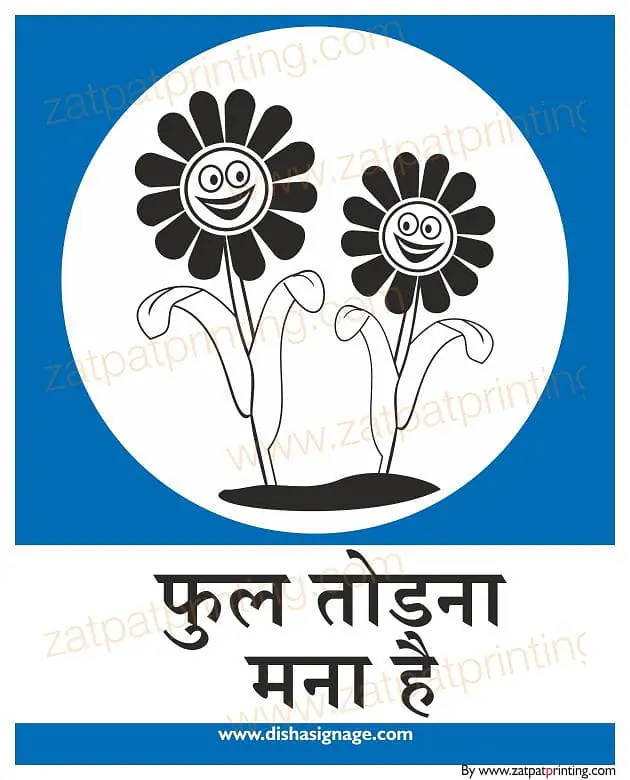 Don't Plug in Flower - Master