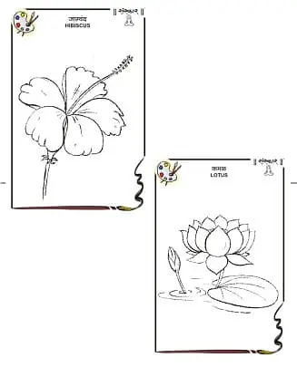 Drawing Books - Master