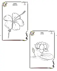 Drawing Books - Master