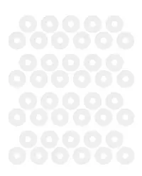 Hole  Guard - Master