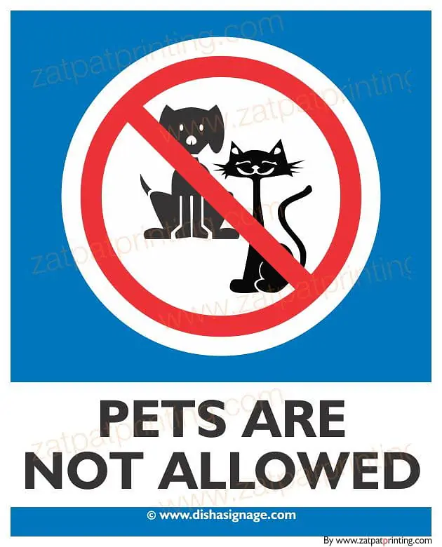 Pets Are Not Allowed - Master