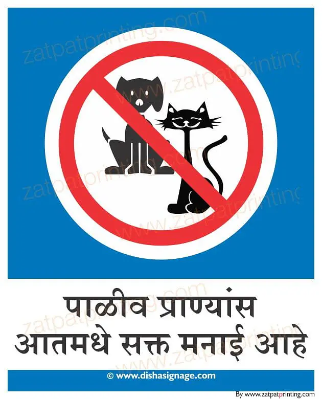 Pets Are Not Allowed - Master