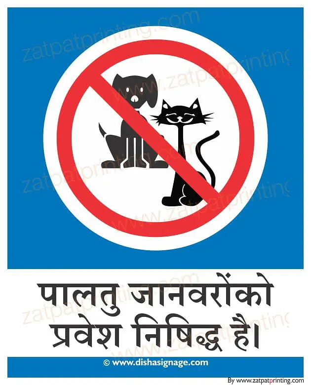 Pets Are Not Allowed - Master