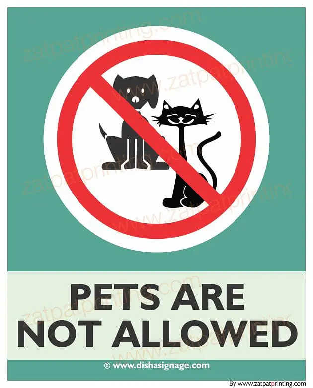 Pets Are Not Allowed - Master